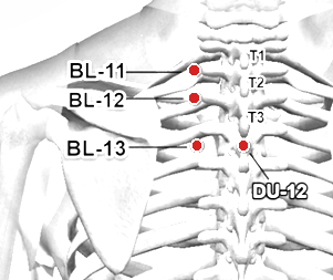 Location of BL-12 (Fengmen)
